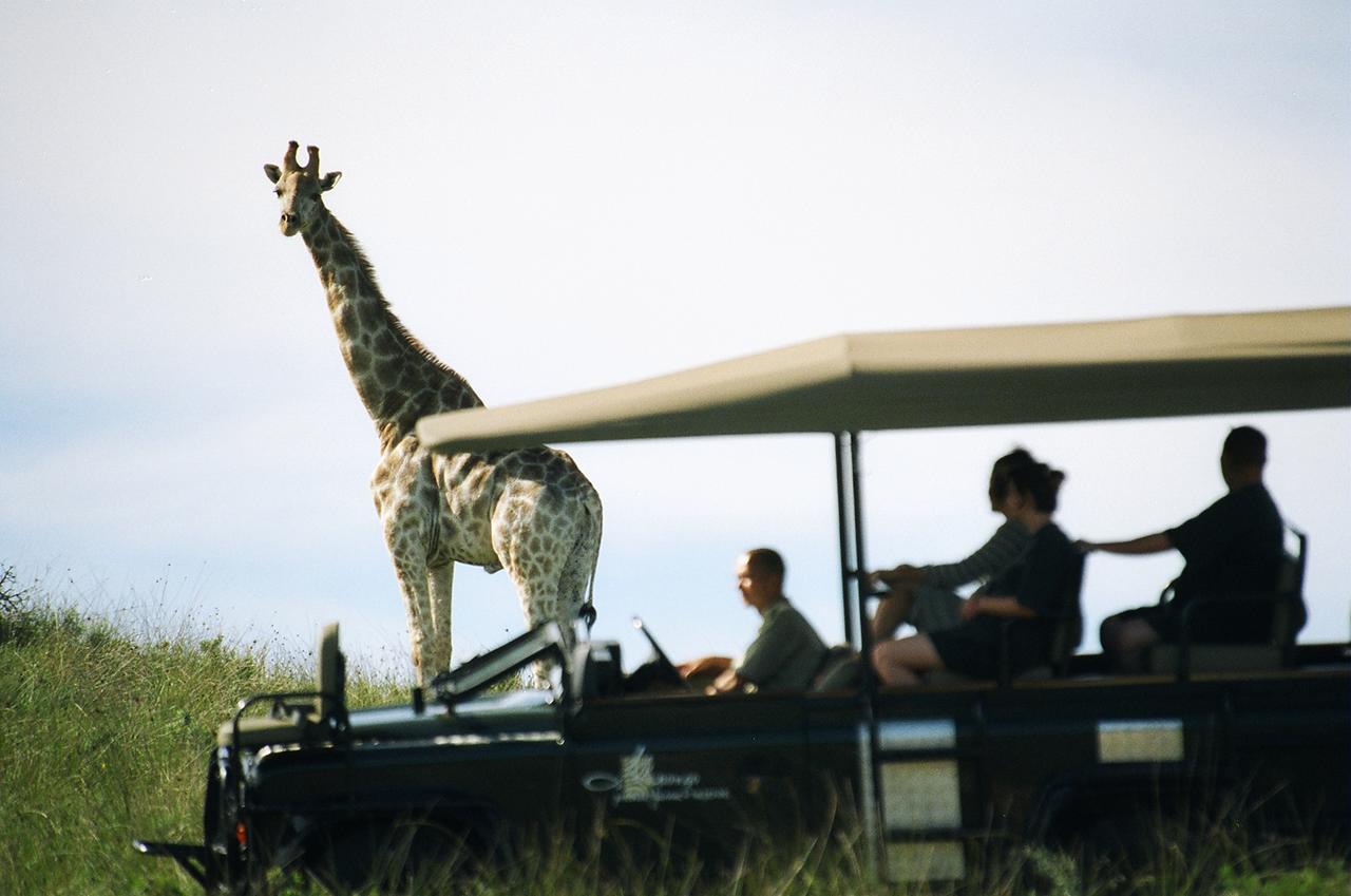 Premier Resort Mpongo Private Game Reserve Macleantown Exterior photo