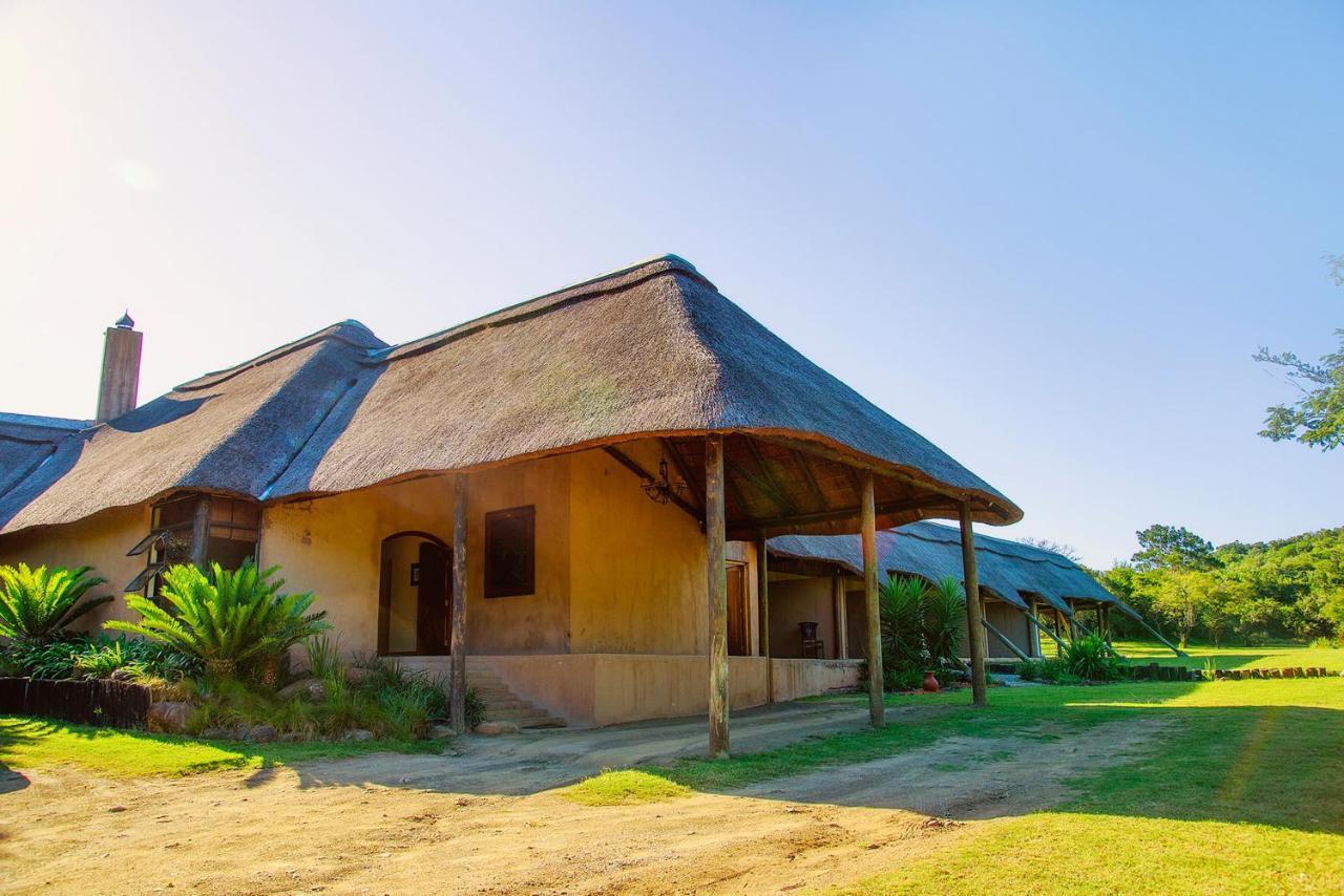 Premier Resort Mpongo Private Game Reserve Macleantown Exterior photo